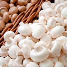 Edible Mushrooms 