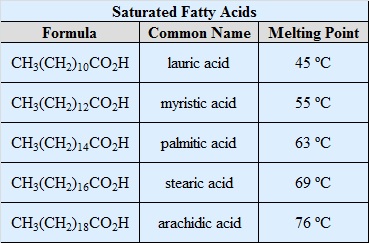Fatty Acid Structure